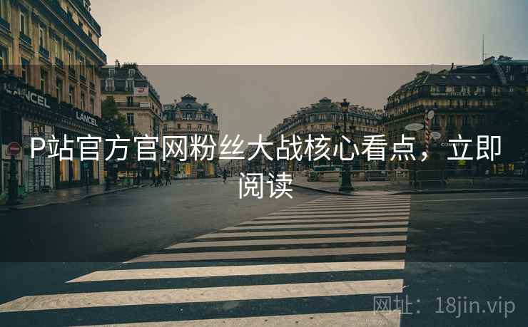P站官方官网粉丝大战核心看点，立即阅读