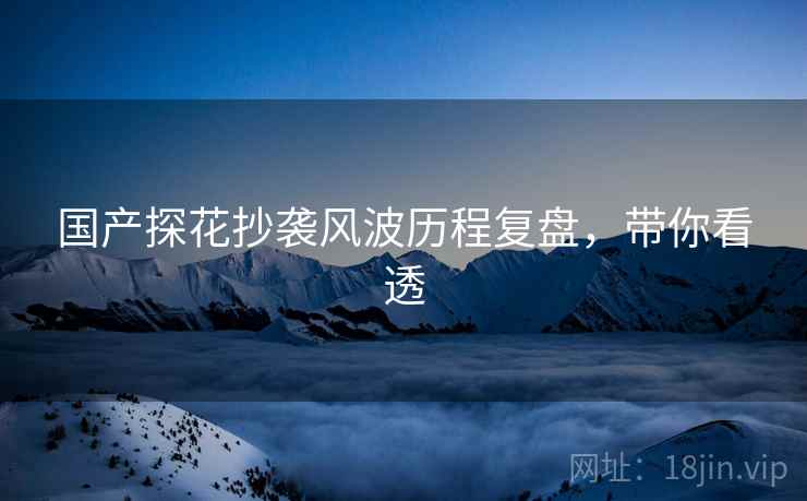 国产探花抄袭风波历程复盘，带你看透