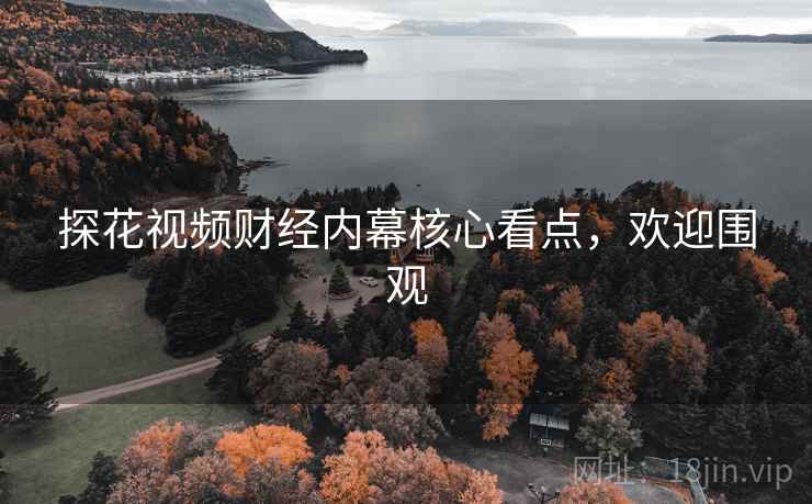 探花视频财经内幕核心看点，欢迎围观