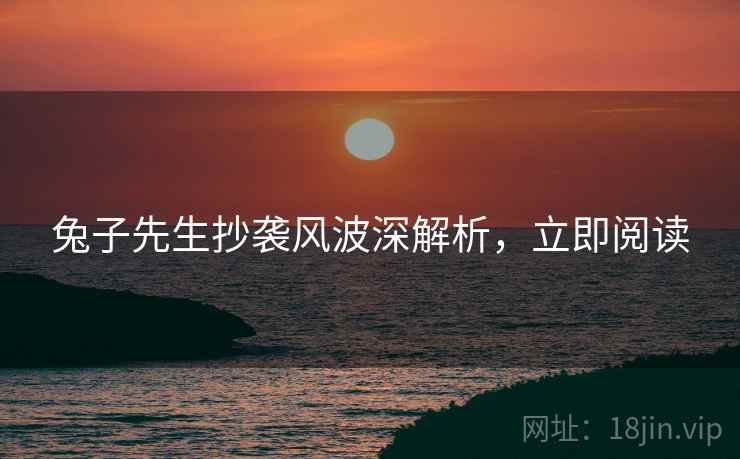 兔子先生抄袭风波深解析，立即阅读