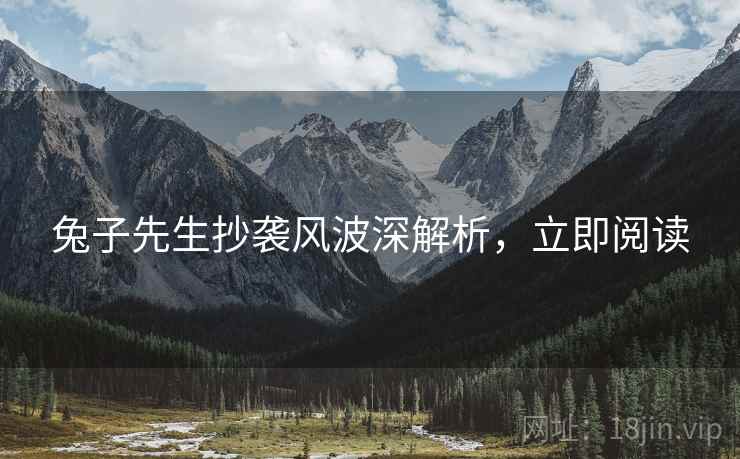 兔子先生抄袭风波深解析，立即阅读