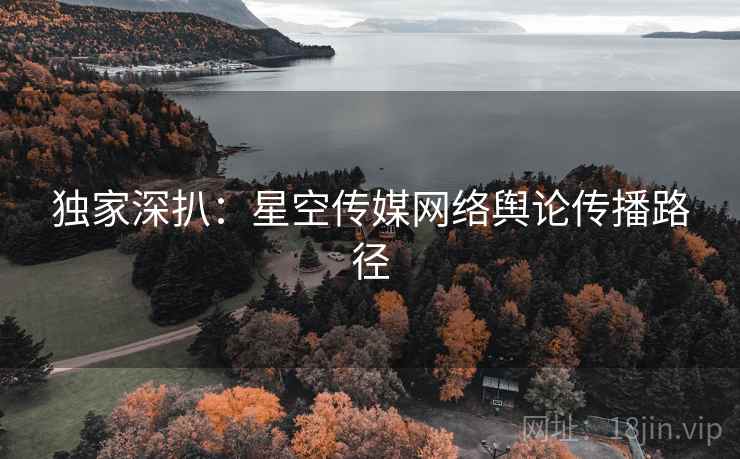 独家深扒：星空传媒网络舆论传播路径