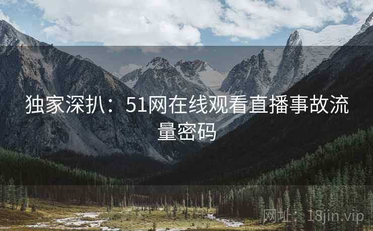 独家深扒：51网在线观看直播事故流量密码