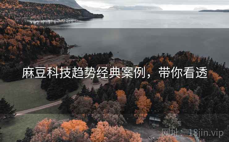 麻豆科技趋势经典案例，带你看透