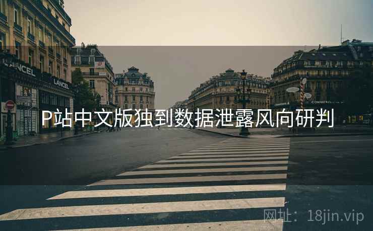 P站中文版独到数据泄露风向研判