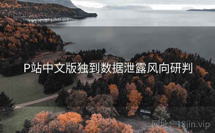 P站中文版独到数据泄露风向研判
