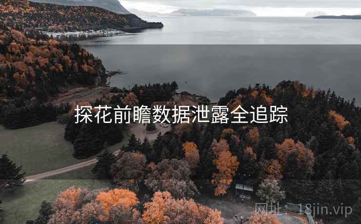 探花前瞻数据泄露全追踪