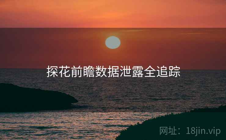 探花前瞻数据泄露全追踪