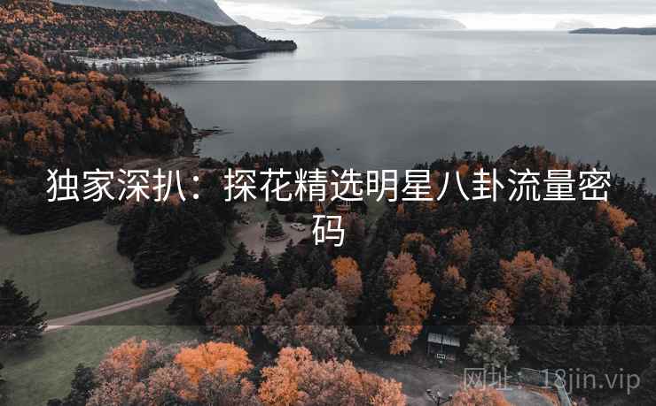 独家深扒：探花精选明星八卦流量密码
