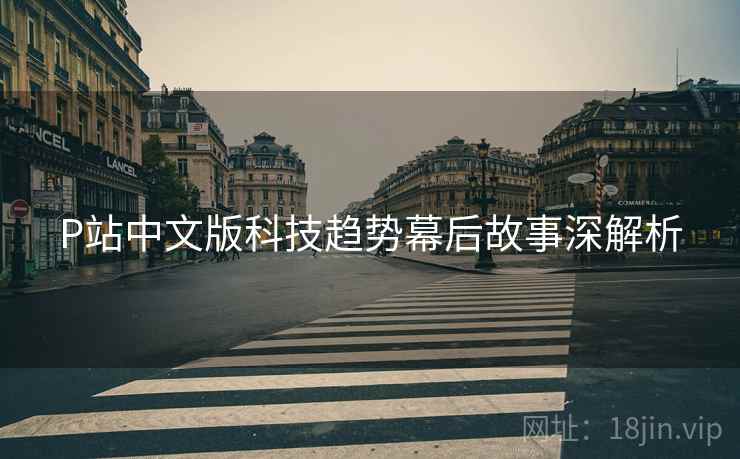 P站中文版科技趋势幕后故事深解析