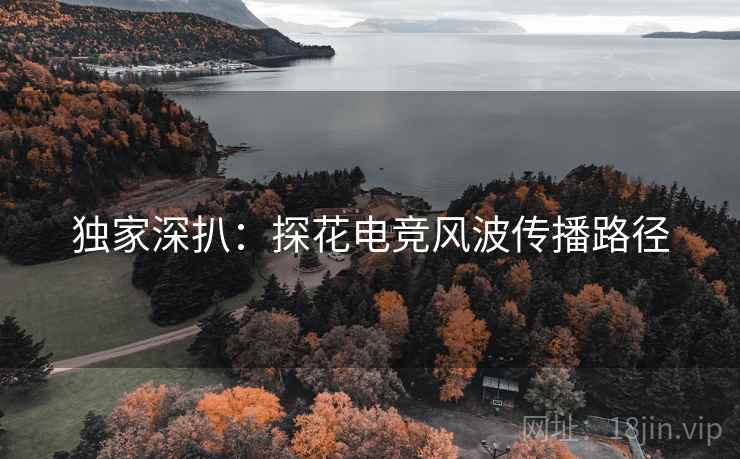 独家深扒：探花电竞风波传播路径