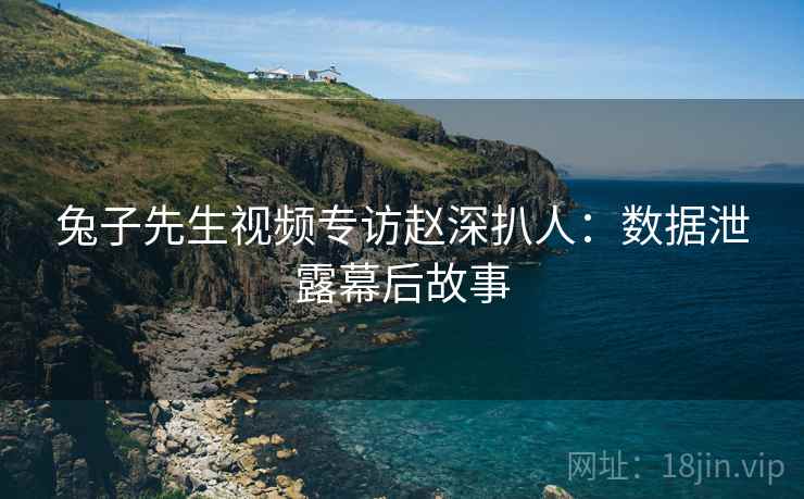 兔子先生视频专访赵深扒人：数据泄露幕后故事