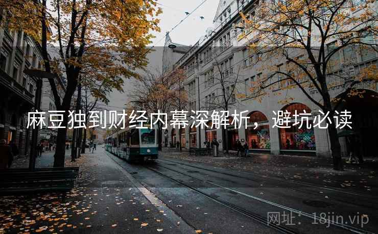麻豆独到财经内幕深解析，避坑必读