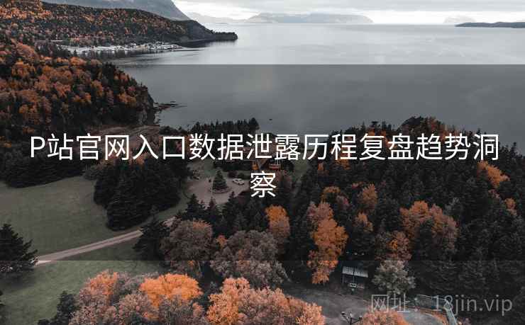 P站官网入口数据泄露历程复盘趋势洞察