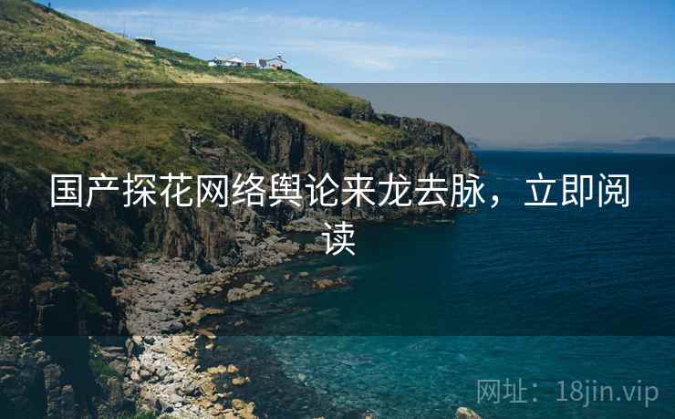 国产探花网络舆论来龙去脉，立即阅读