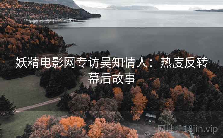妖精电影网专访吴知情人：热度反转幕后故事