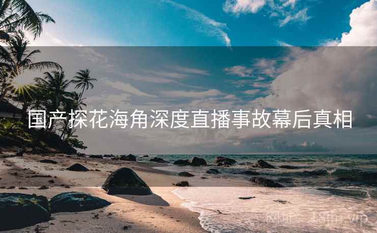 国产探花海角深度直播事故幕后真相