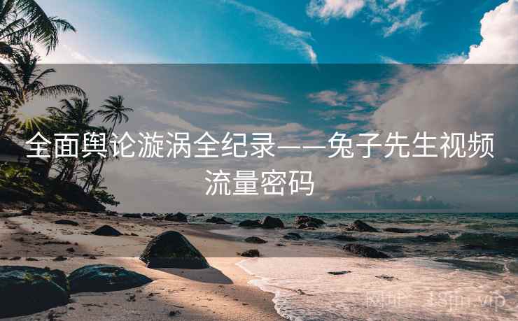 全面舆论漩涡全纪录——兔子先生视频流量密码