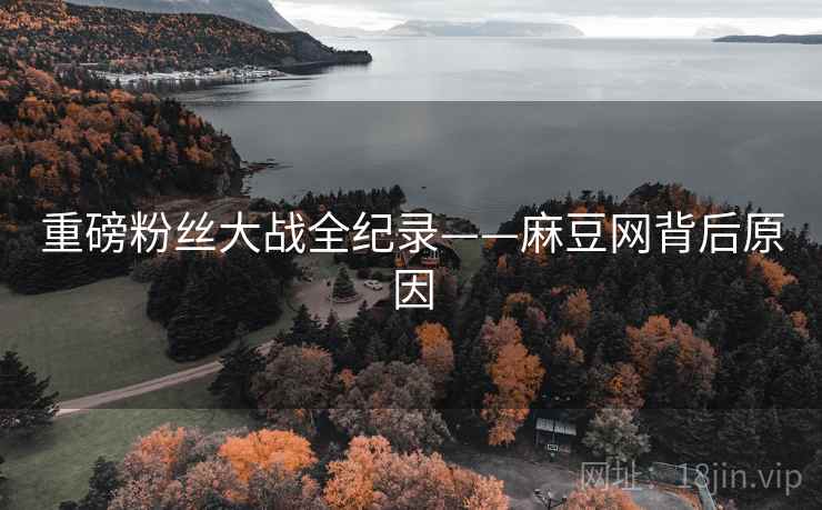 重磅粉丝大战全纪录——麻豆网背后原因