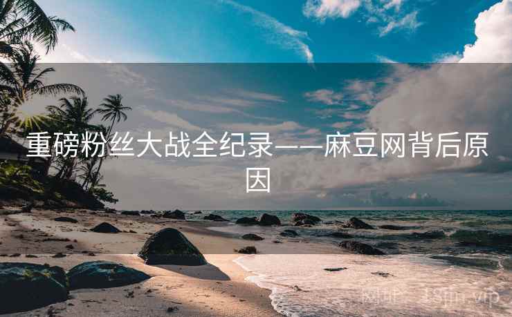 重磅粉丝大战全纪录——麻豆网背后原因