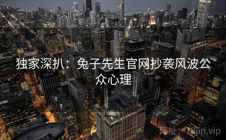 独家深扒：兔子先生官网抄袭风波公众心理