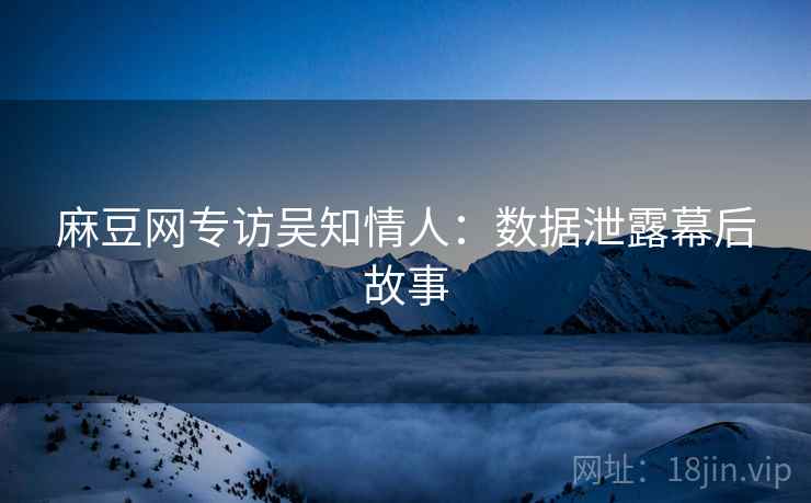 麻豆网专访吴知情人：数据泄露幕后故事