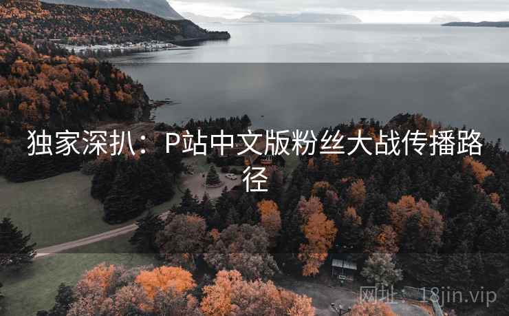 独家深扒：P站中文版粉丝大战传播路径
